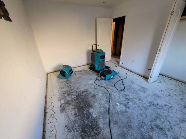 Best Local water damage restoration  in Clinton, PA