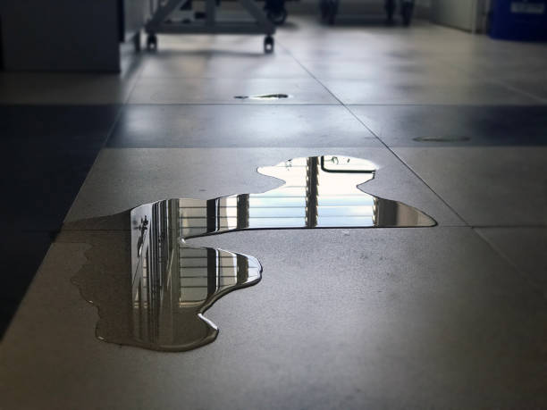Best 24-hour water damage restoration  in Clinton, PA