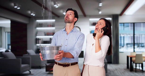 Best Mold removal after water damage  in Clinton, PA