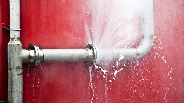 Best Water damage cleanup near me  in Clinton, PA