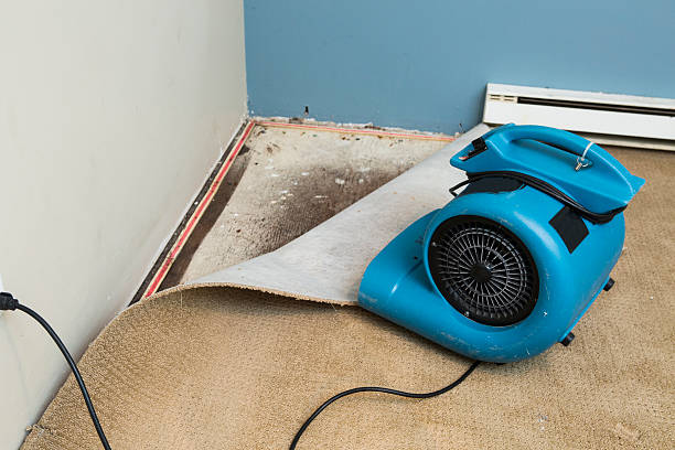 Best Residential water damage restoration  in Clinton, PA